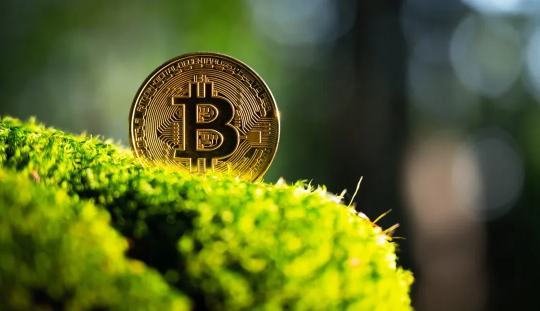 LVR Cycles lance le paiement par cryptomonnaie : une révolution pour nos clients en ligne